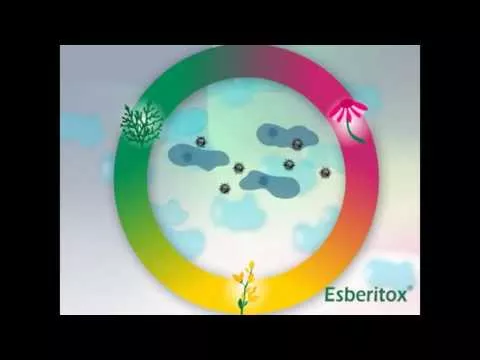 Vaizdo įrašas apie Esberitox® Compact nuo peršalimo, 60 vnt