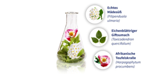 GELENCIUM artro mišinys, 2X100 ml