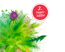BASEN AKTIV Arbata Nr. 2 Pieninės kiaulpienės Organic Salus, 40 kapsulių