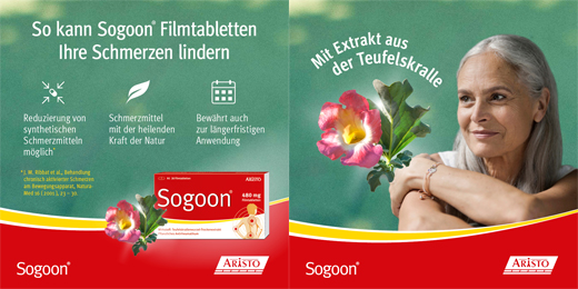 SOGOON 480 mg plėvele dengtos tabletės, 20 vnt