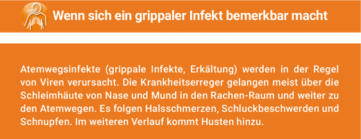 ANGOCIN Anti Infekt N plėvele dengtos tabletės, 500 vnt