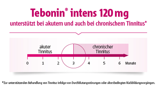 TEBONIN intens 120 mg plėvele dengtos tabletės, 200 vnt