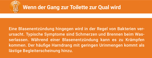ANGOCIN Anti Infekt N plėvele dengtos tabletės, 500 vnt