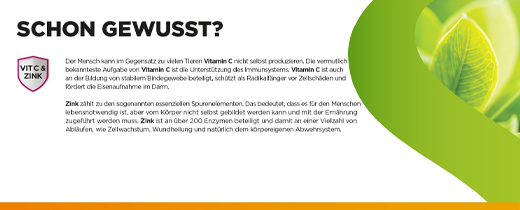 DOBENSANA Žolelių vyšnių skonio vitaminas C & Cinko pastilės, 16 vnt