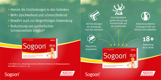 SOGOON 480 mg plėvele dengtos tabletės, 20 vnt