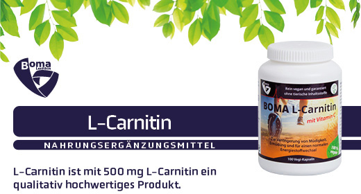 L-CARNITIN 500 kapsulių, 100 vnt