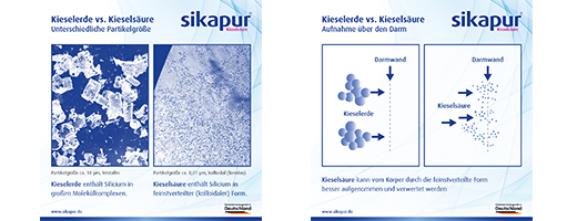 SIKAPUR Silicio rūgšties minkštosios gelio kapsulės su biotinu, 30 vnt