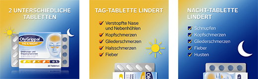 OLYGRIPPAL Diena & Naktis 500 mg/60 mg tabletės, 16 vnt