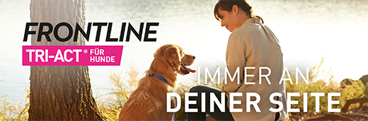 FRONTLINE Tri-Act tirpalas, skirtas lašinti 2-5 kg šunims, 6 vnt