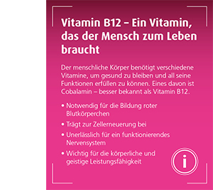VITAPROMPT 1000 mikrogramų plėvele dengtos tabletės, 50 vnt