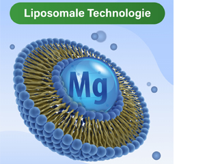 GLYCOWOHL vital liposominio magnio didelės dozės kapsulės, 120 vnt