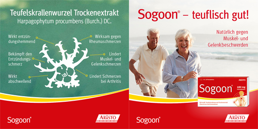 SOGOON 480 mg plėvele dengtos tabletės, 20 vnt