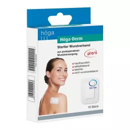 HÖGA-DERM Sterilus gipsas 53x70 mm, 10 vnt