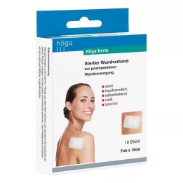 HÖGA-DERM Sterilus gipsas 70x100 mm, 10 vnt