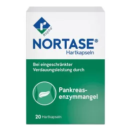NORTASE Kapsulės, 20 vnt