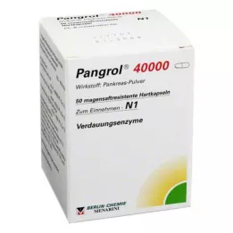 PANGROL 40.000 Kietosios kapsulės su enteriniu apvalkalu, 50 vnt