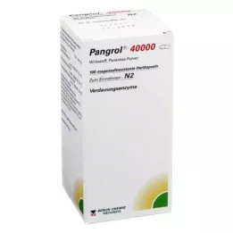 PANGROL 40.000 Kietosios kapsulės su enteriniu apvalkalu, 100 vnt