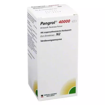 PANGROL 40.000 Kietosios kapsulės su enteriniu apvalkalu, 100 vnt PANGROL 40.000 Kietosios kapsulės su enteriniu apvalkalu, 100 vnt
