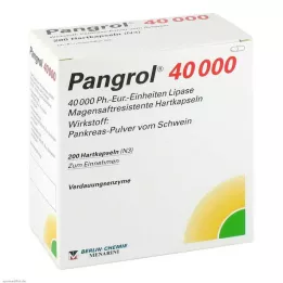 PANGROL 40 000 kietųjų kapsulių su enteriniu apvalkalu, 200 vnt