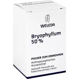 BRYOPHYLLUM 50 % geriamųjų miltelių, 20 g