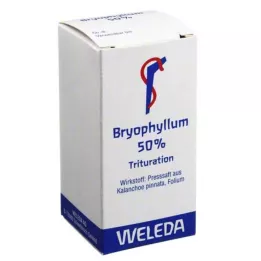 BRYOPHYLLUM 50 % geriamųjų miltelių, 20 g