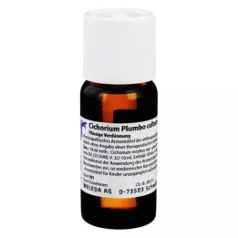 CICHORIUM PLUMBO cultum D 3 skiedinys, 50 ml