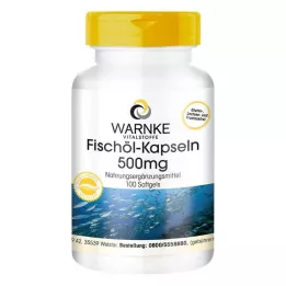 FISCHÖL KAPSELN 500 mg, 100 vnt