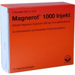 MAGNEROT 1000 Injekcinių ampulių, 10X10 ml
