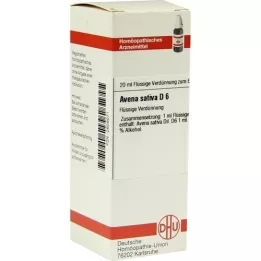 AVENA SATIVA D 6 skiedinys, 20 ml