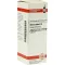 AVENA SATIVA D 6 skiedinys, 20 ml