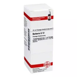 BERBERIS D 12 skiedinys, 20 ml