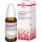 CHELIDONIUM D 12 skiedinys, 20 ml