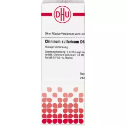 CHININUM SULFURICUM D 6 skiedinys, 20 ml