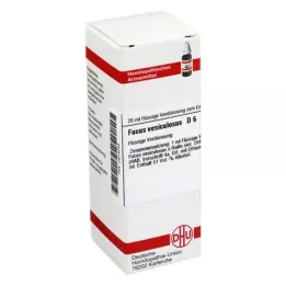 FUCUS VESICULOSUS D 6 skiedinys, 20 ml