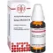 GALEGA officinalis D 6 skiedinys, 20 ml