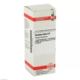 GENTIANA LUTEA D 2 skiedinys, 20 ml