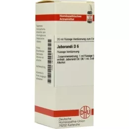 JABORANDI D 6 skiedinys, 20 ml