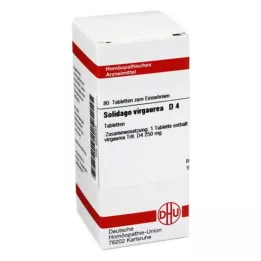 SOLIDAGO VIRGAUREA D 4 tabletės, 80 kapsulių