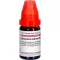 ARSENICUM ALBUM LM XII Skiedimas, 10 ml