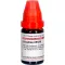 GRAPHITES LM XXX Skiedimas, 10 ml