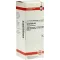 HAMAMELIS D 2 skiedinys, 50 ml