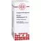 ZINCUM VALERIANICUM D 12 skiedinys, 20 ml