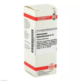ADRENALINUM HYDROCHLORICUM D 12 skiedinys, 20 ml