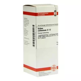 KALIUM CARBONICUM D 12 skiedinys, 50 ml