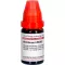 ABROTANUM LM XXX Praskiedimas, 10 ml