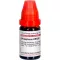 PHOSPHORUS LM XXX Praskiedimas, 10 ml