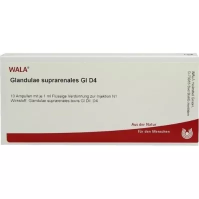 GLANDULAE SUPRARENALES GL D 4 ampulės, 10X1 ml