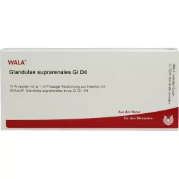 GLANDULAE SUPRARENALES GL D 4 ampulės, 10X1 ml