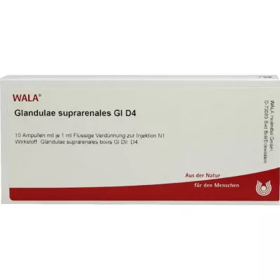 GLANDULAE SUPRARENALES GL D 4 ampulės, 10X1 ml GLANDULAE SUPRARENALES GL D 4 ampulės, 10X1 ml