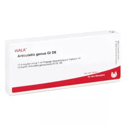 ARTICULATIO gentis GL D 6 ampulės, 10X1 ml